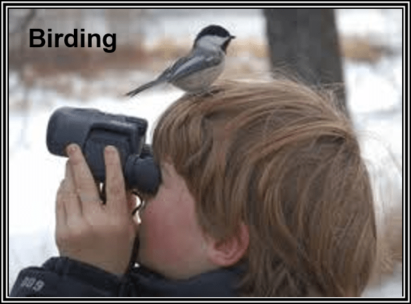 birding