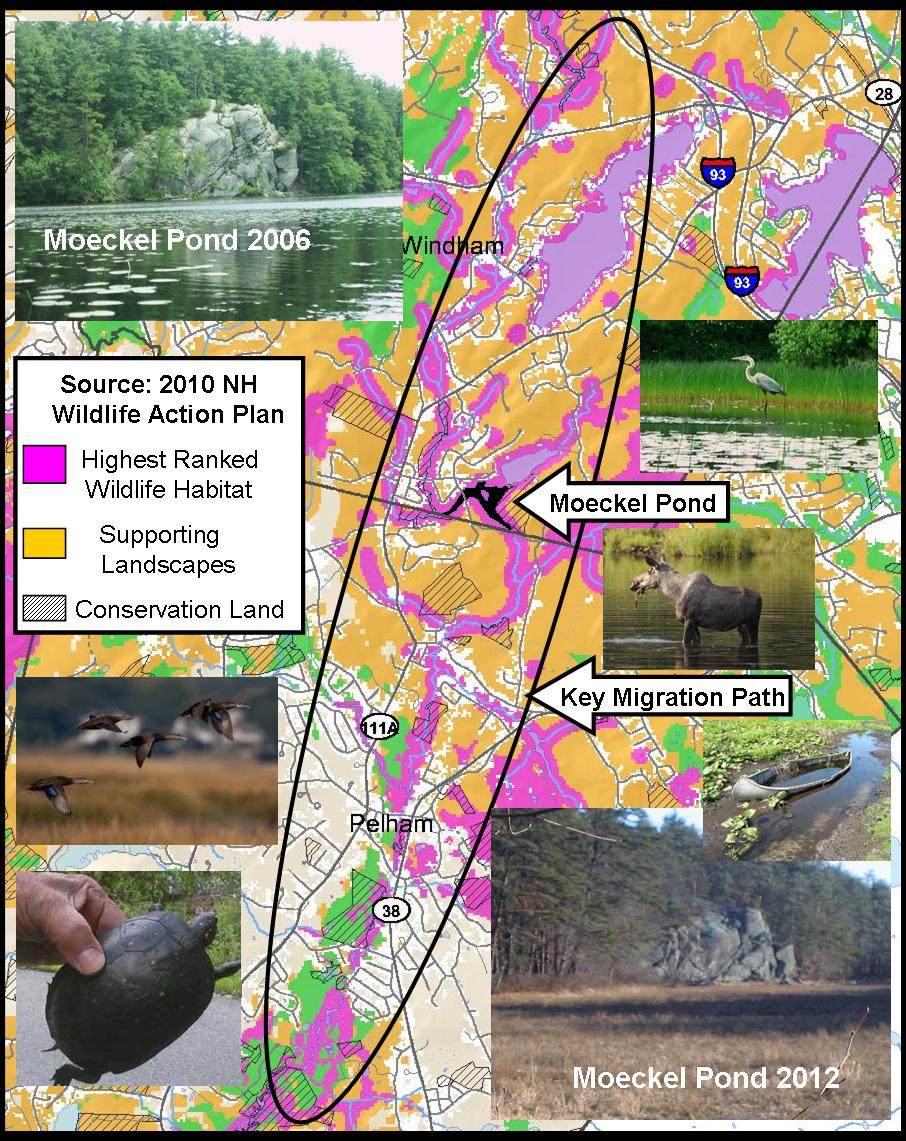Composite Migration Corridor with wildlife.jpg
