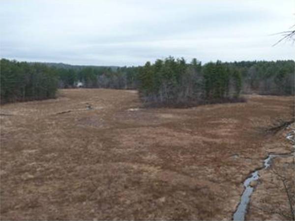 dried-pond-from-deer-leap