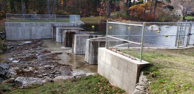 122834152_1801233466698887_5747431619419544900_o